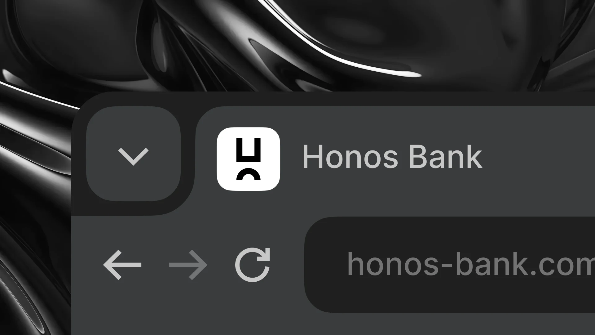 Présentation de l’expérience web Honos